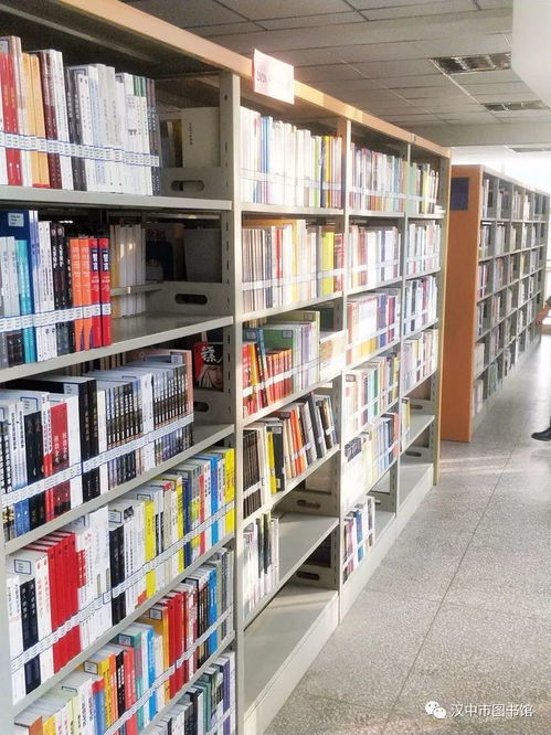 汉中市图书馆新年新增图书报刊 丰富读者阅读选择